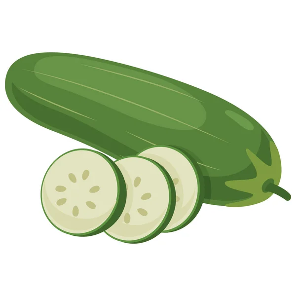 Vector Illustration Cucumber — Stock Vector