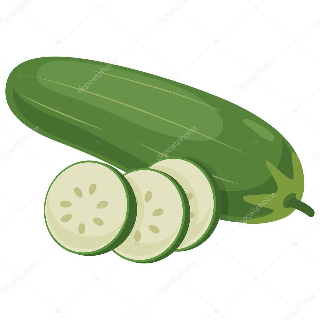 Vector Illustration Of Cucumber