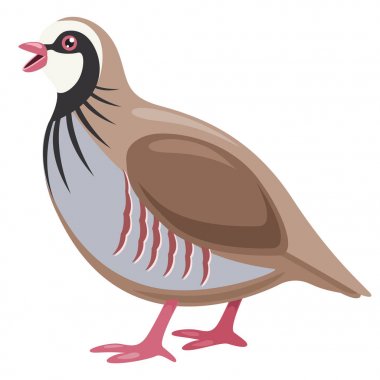 Vector Illustration Of Cartoon Partridge clipart