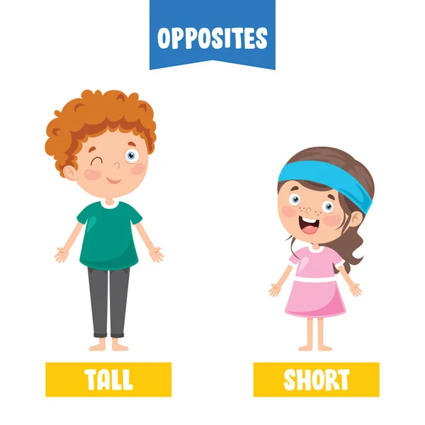 Adjetivos Opostos Com Desenhos Animados —  Vetores de Stock