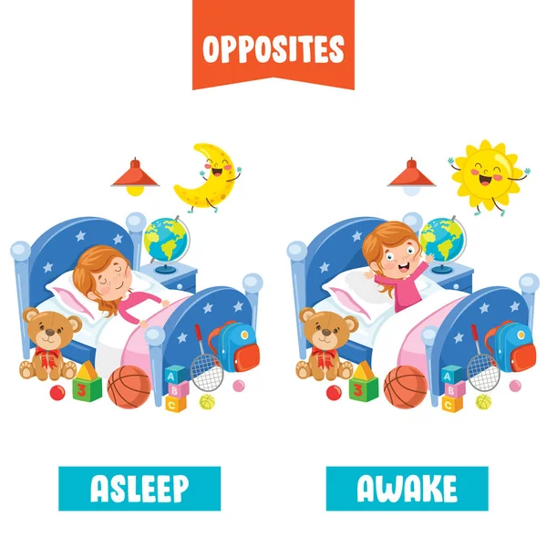 Adjectifs Opposés Avec Dessins Animés — Image vectorielle