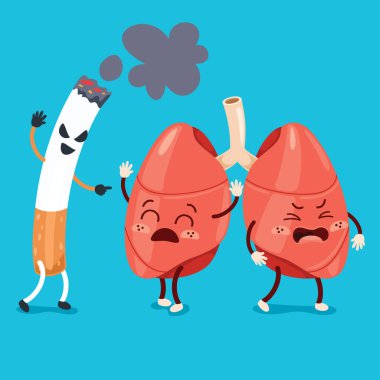 İnsan Ciğerlerinin Çizimi