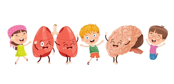 Cartoon Concept Human Organs — Stockový vektor