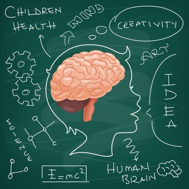 Beyin Anatomisi ve Yaratıcılık kavramı