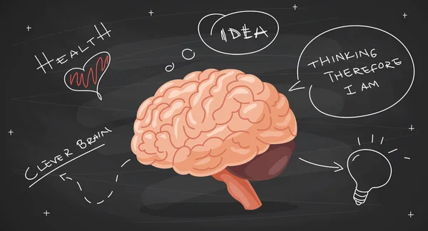 Концепция Анатомии Мозга Творчества — стоковый вектор