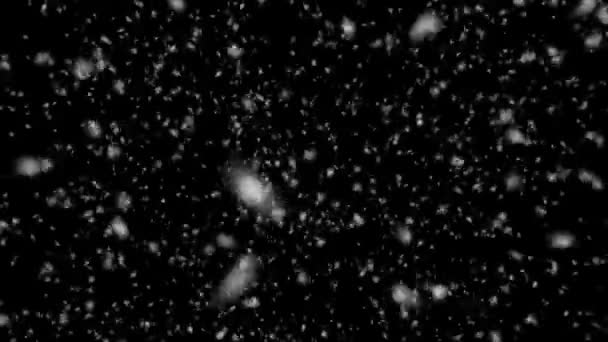 En närbild bakgrund av fallande snöflingor — Stockvideo