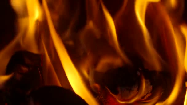 Una sequenza looping di fiamme di un fuoco di tronco in movimento lento — Video Stock