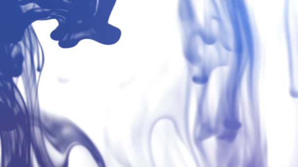 Een mengsel van indigo en blauwe inkt stroomt langzaam drijvend op een wit scherm — Stockvideo