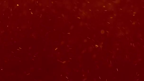 Drukke rode Bokeh deeltjes zwenken — Stockvideo