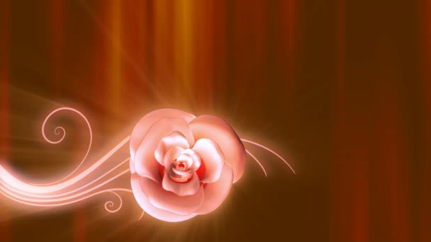 Smooth fade in fade out abstract rose background — Stock Video