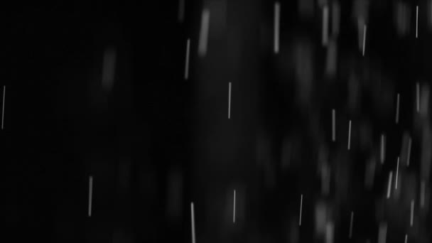 Stationary shot of bright white particles flying against a black background — Stock Video