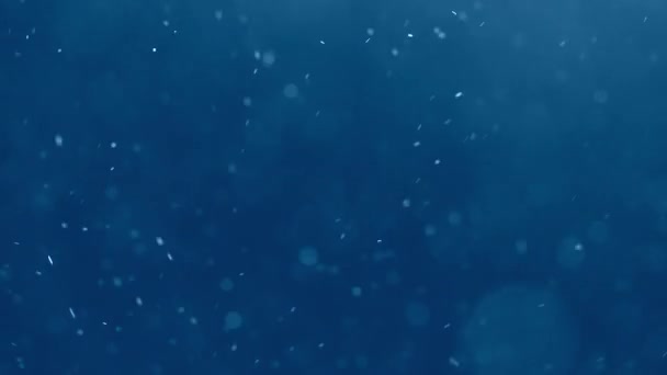 Beyaz parçacıklar ve mavi bir arka plan karşı yükselen bokeh — Stok video