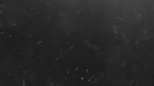 Białe cząstki unoszące się na białym tle z bokeh — Wideo stockowe