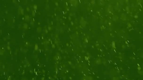 Белые частицы, вращающиеся на зеленом фоне — стоковое видео