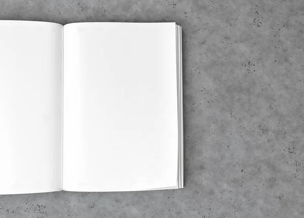 Boş katalog ve kitap, dergi kadar arka plan üzerinde sahte. 3D