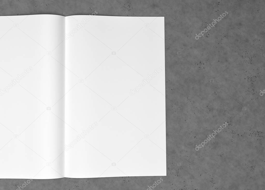 Blank catalog and book , magazines mock up on background. 3d