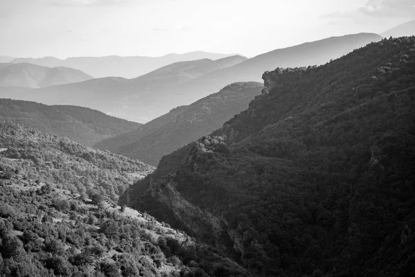 Misty bahar nehir yatağı manzara siyah beyaz