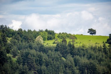Güzel olabilir Bulgar bahar güneşli manzara