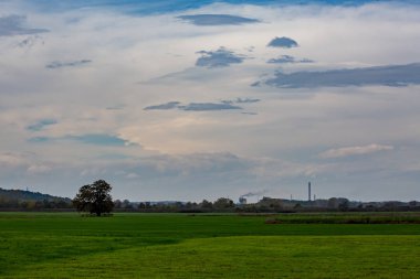 Ceviz ağacı tarlada ve tüten kimyasal fabrika