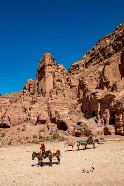 Petra Jordan January 2020 Local Donkey Transport Waits Tourists Scenery — Stockfoto