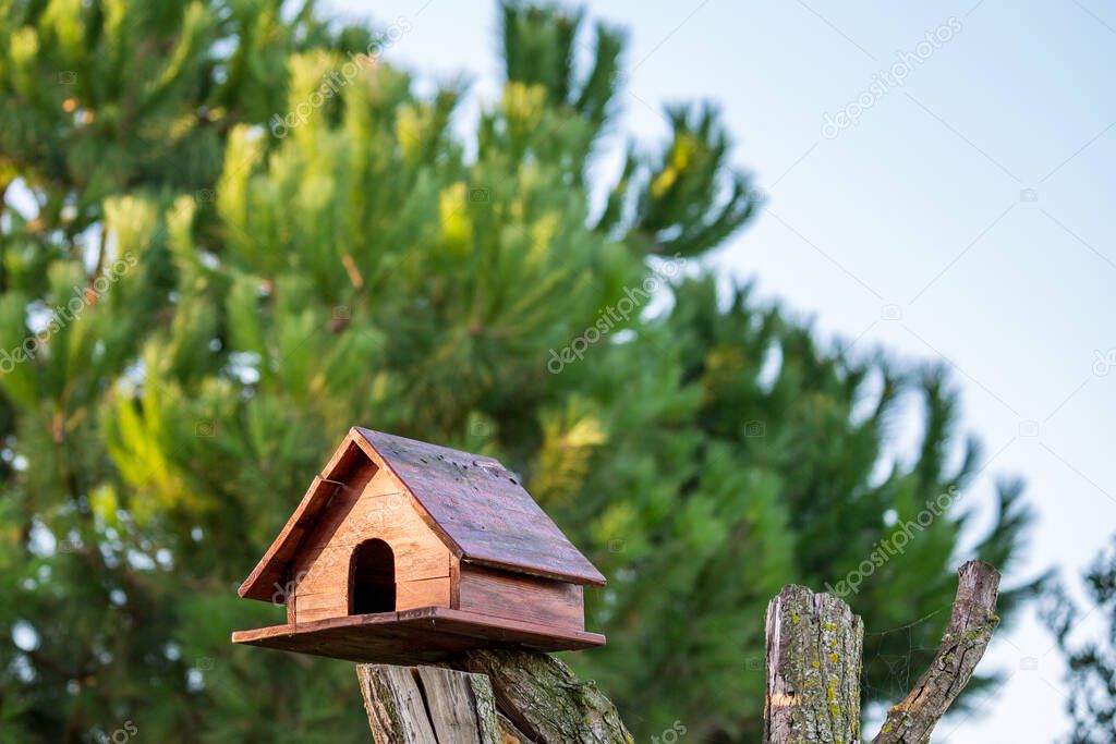 Beautiful handmade wooden bird feeder house on dry tree trunk on green blurred pine tree leaves background, village of Porto Lagos, Northern Greece