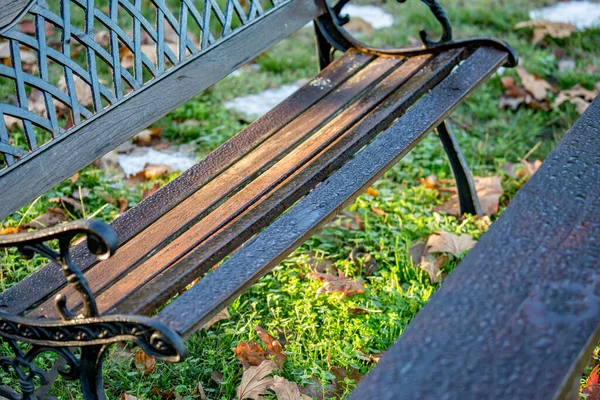 Selective Shallow Focus Water Drops Heavy Rain Wooden Park Bench — Stock Photo, Image