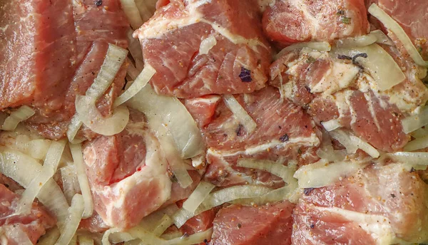 Pickled raw meat with seasonings and vegetables for barbecue. — Stock Image Pickled Raw Meat Seasonings Vegetables Barbecue Stock Image