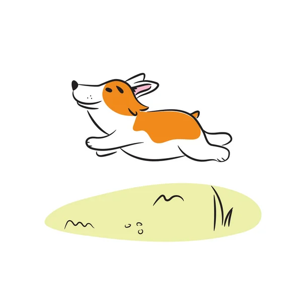 Correndo corgi cão vetor ilustração . —  Vetores de Stock