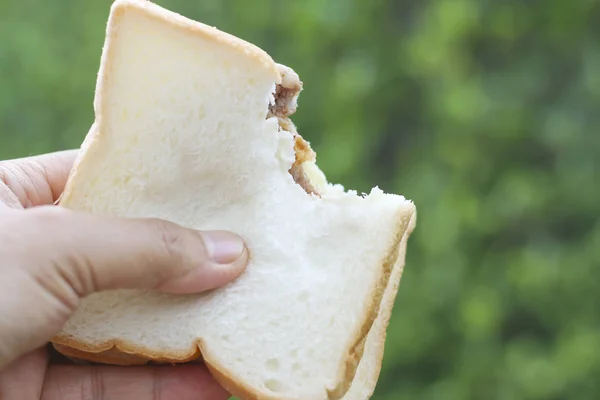 Bunkra foto skiva ett fullkornsbröd på en grön bakgrund, handtag upp äta bröd. — Stockfoto