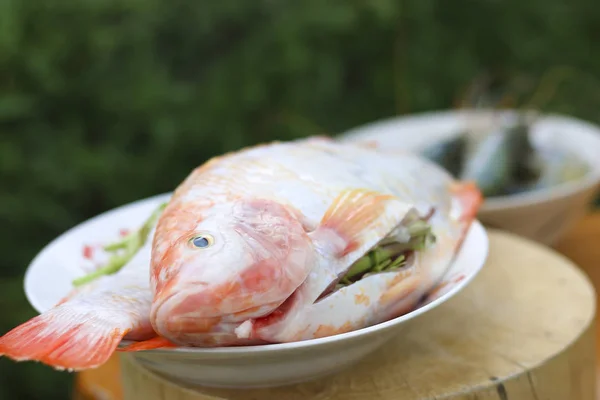 Foto de stock pescado fresco listo para cocinar —  Fotos de Stock