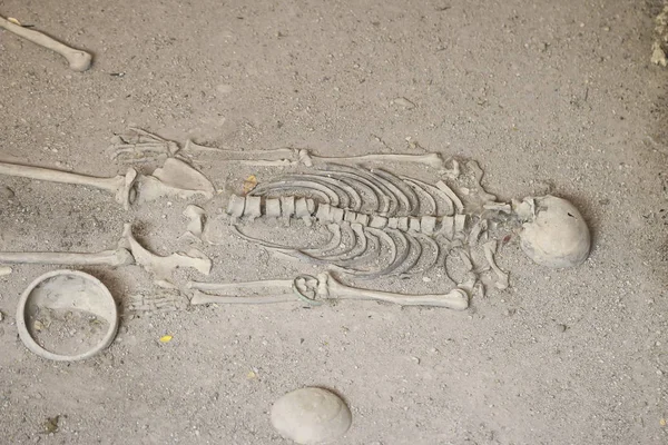 Foto stock - exploração do esqueleto humano antigo — Fotografia de Stock