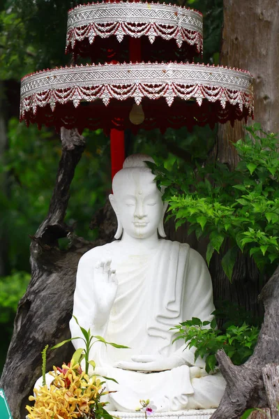 Archivbild - weißes Buddha-Bild unter dem Baum sitzend — Stockfoto