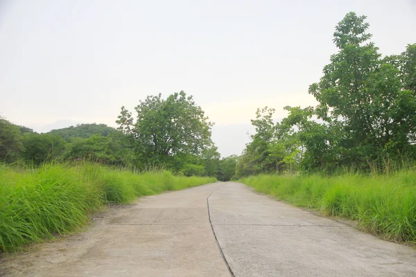 Archivbild - Weg zum Strand im tropischen Badeort. — Stockfoto