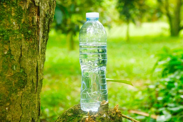 Archivbild - Wasserflasche auf Baumstümpfen platziert. — Stockfoto
