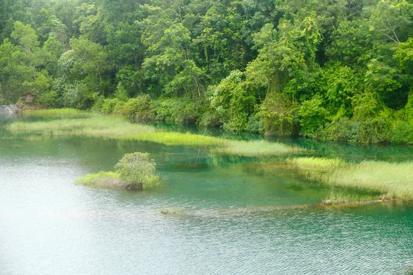 Foto D'archivio - Lago di montagna nella foresta, piccolo lago — Foto Stock