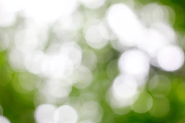 ストック フォト - 春の緑の色、ボケびまん性 e の背景 — ストック写真