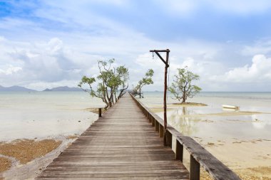 Hazır Fotoğraf - tahta köprüden denize.