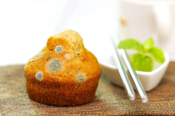 Foco seletivo do pão mofado expirou — Fotografia de Stock