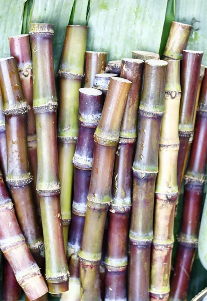 Nahaufnahme Zuckerrohr auf Holzhintergrund.Ansicht von oben — Stockfoto