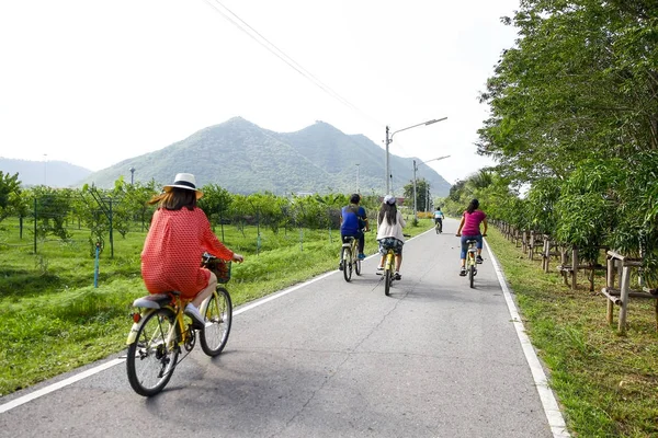Famiglia mountain bike sul sentiero forestale, vista posteriore — Foto Stock