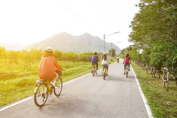 Familien-Mountainbike auf Waldweg, Rückansicht — Stockfoto