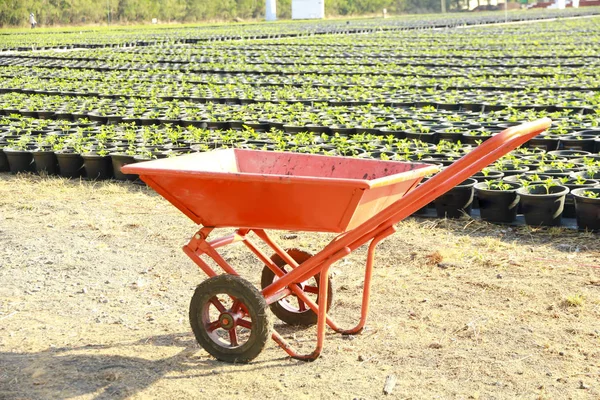 Trolley for construction and gardening.