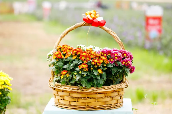 Hermoso ramo de flores brillantes en cesta sobre mesa de madera —  Fotos de Stock