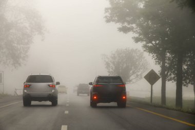 Bulanık zor sisli yol araba hafif, seyahat wint detayını ile