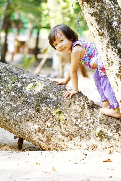 Little girl climbed on tree and sitting on tree branch, low angl — Stock Photo, Image