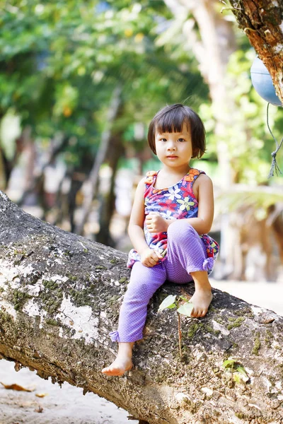 Little girl climbed on tree and sitting on tree branch, low angl — Stock Photo, Image