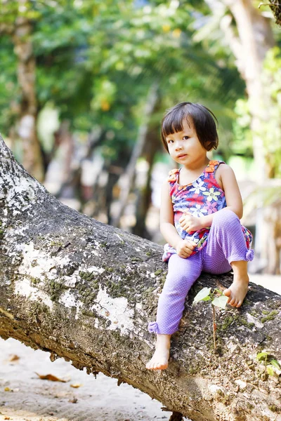 Little girl climbed on tree and sitting on tree branch, low angl — Stock Photo, Image