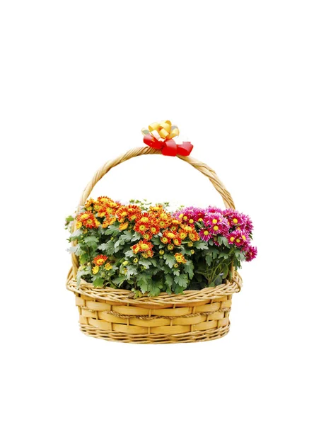 Mooi boeket van heldere bloemen in mand geïsoleerd op wit — Stockfoto