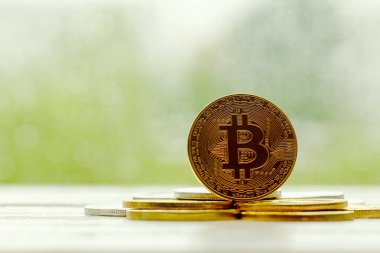 Bitcoin Şifreleme Dijital Bit Parası BTC Para Teknolojisi 