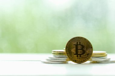 Bitcoin Şifreleme Dijital Bit Parası BTC Para Teknolojisi 